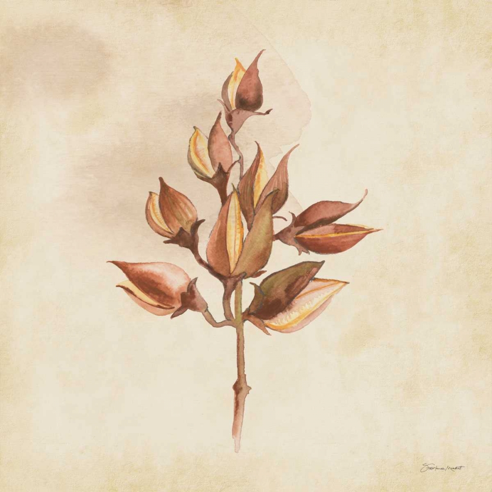 Wall Art Painting id:70263, Name: Seeds In Fall, Artist: Marrott, Stephanie