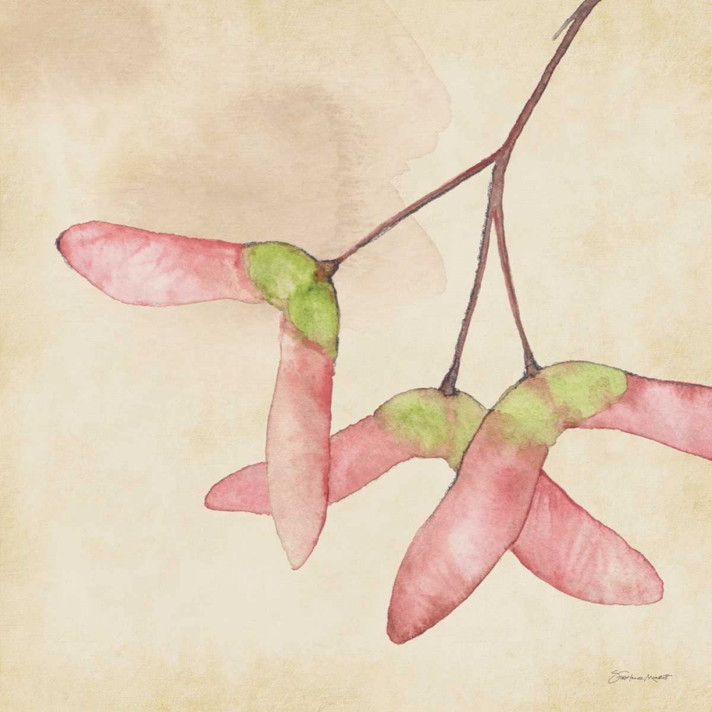 Wall Art Painting id:70264, Name: Maple Seeds In Fall, Artist: Marrott, Stephanie