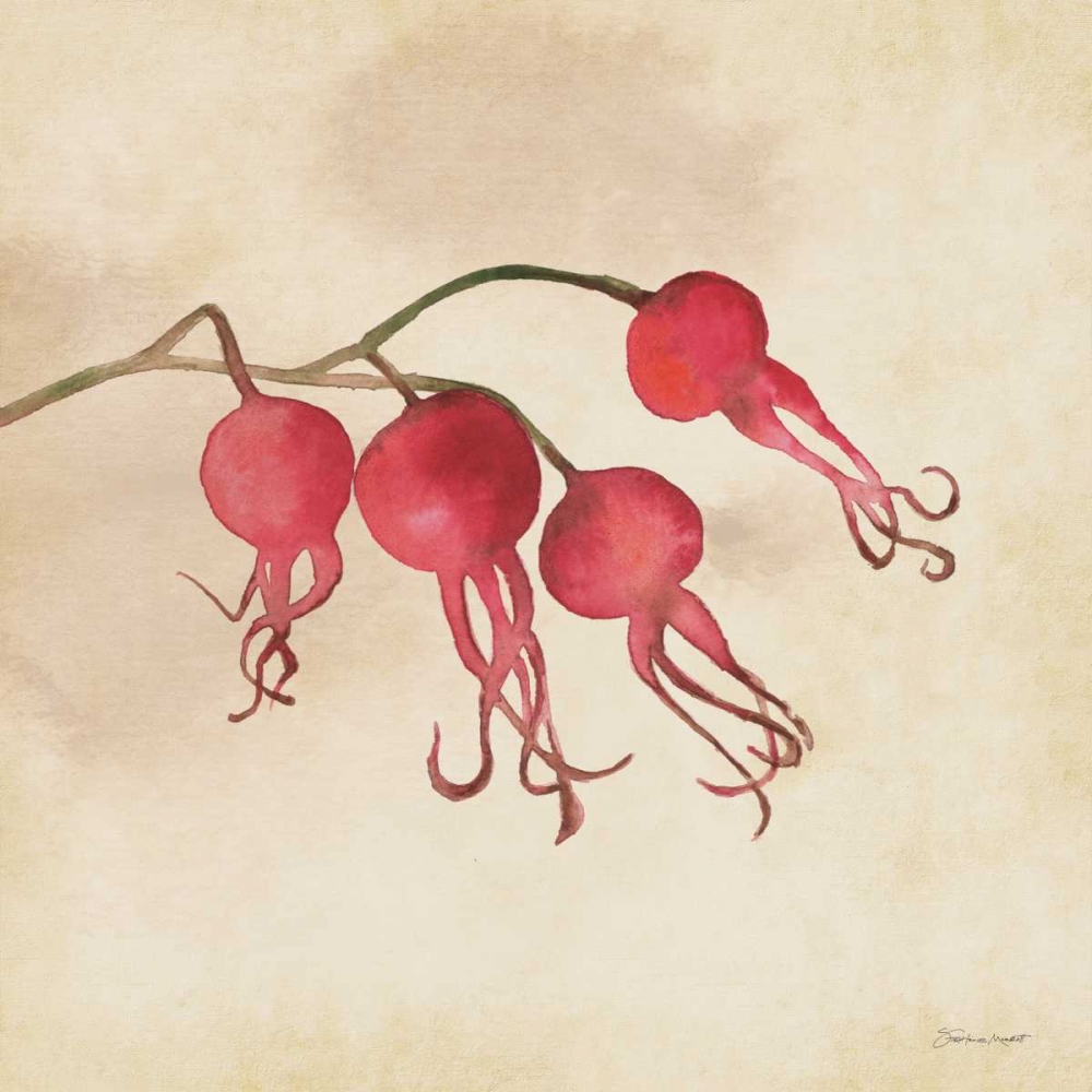 Wall Art Painting id:70266, Name: Rose Hips In Fall, Artist: Marrott, Stephanie