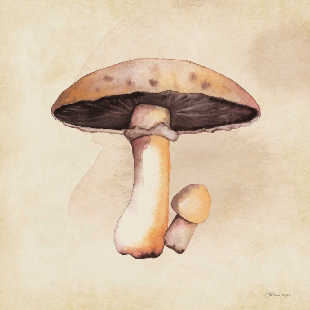 Wall Art Painting id:70267, Name: Mushrooms In Fall, Artist: Marrott, Stephanie