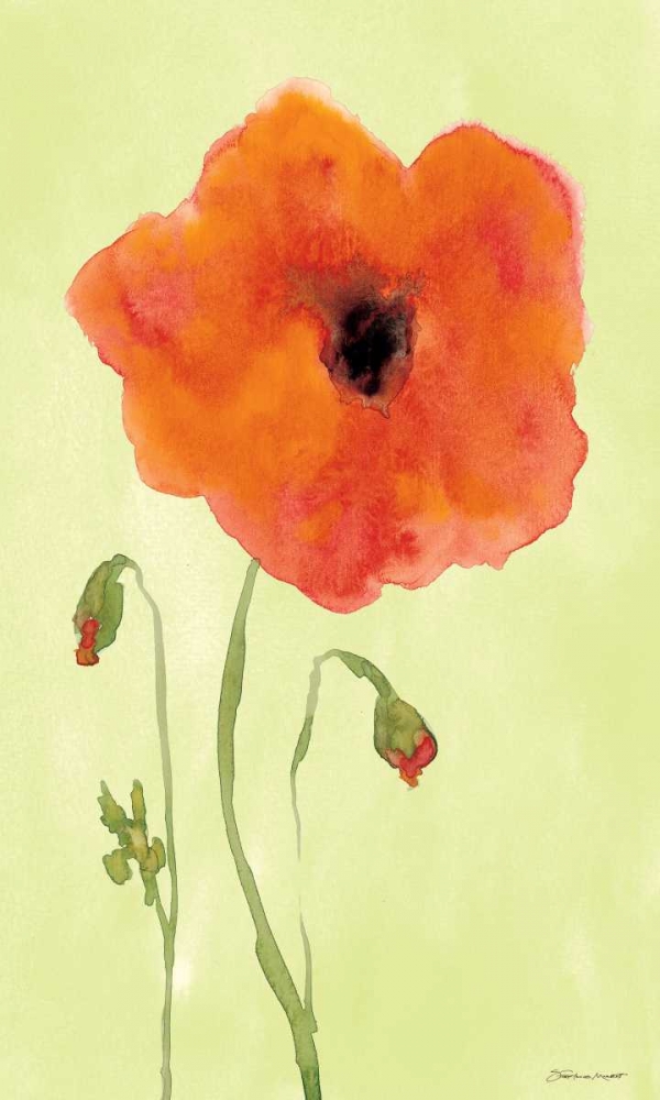 Wall Art Painting id:70310, Name: Poppyface, Artist: Marrott, Stephanie