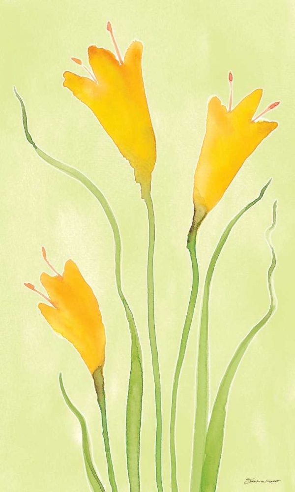 Wall Art Painting id:70312, Name: Buttercups, Artist: Marrott, Stephanie