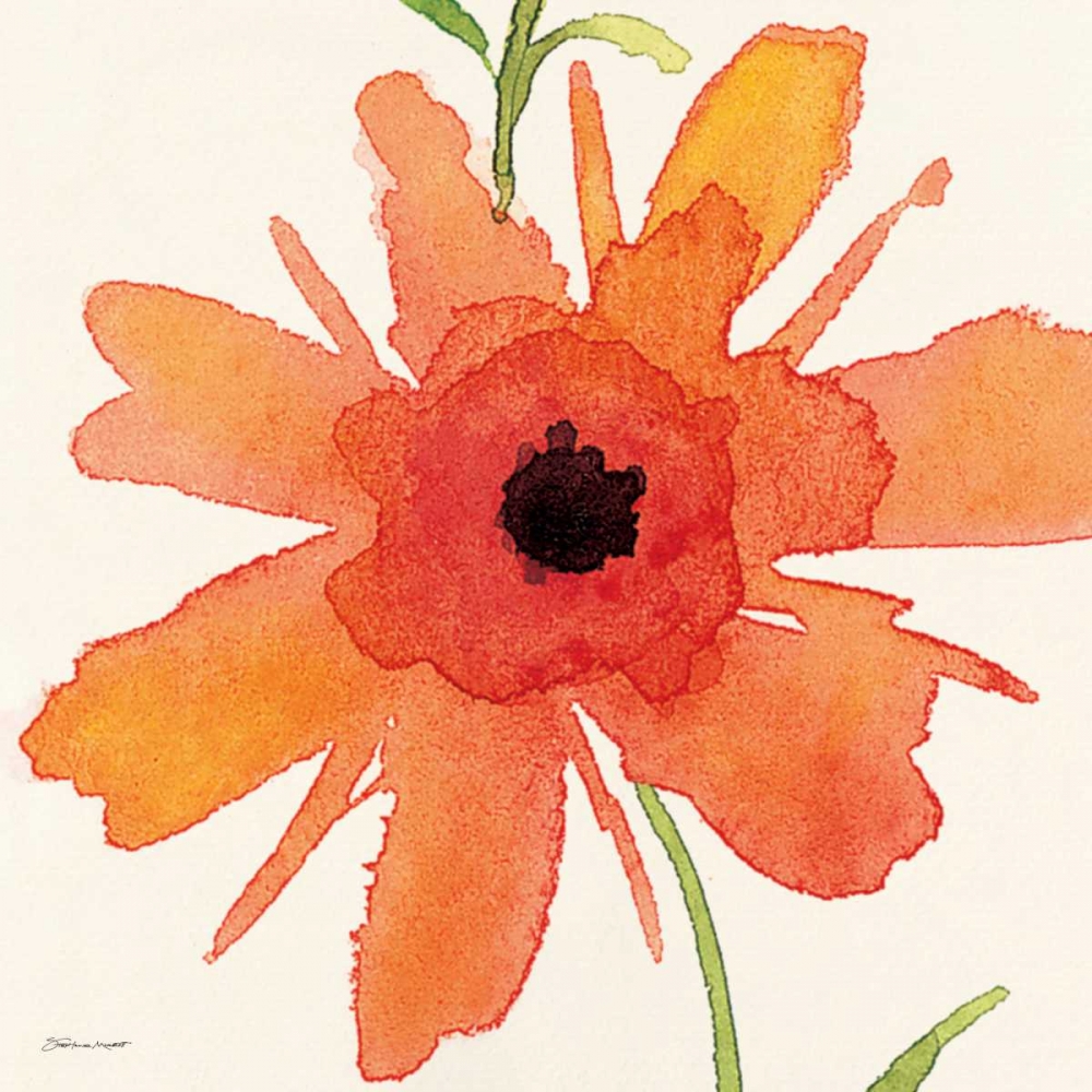 Wall Art Painting id:70318, Name: Poppy II, Artist: Marrott, Stephanie