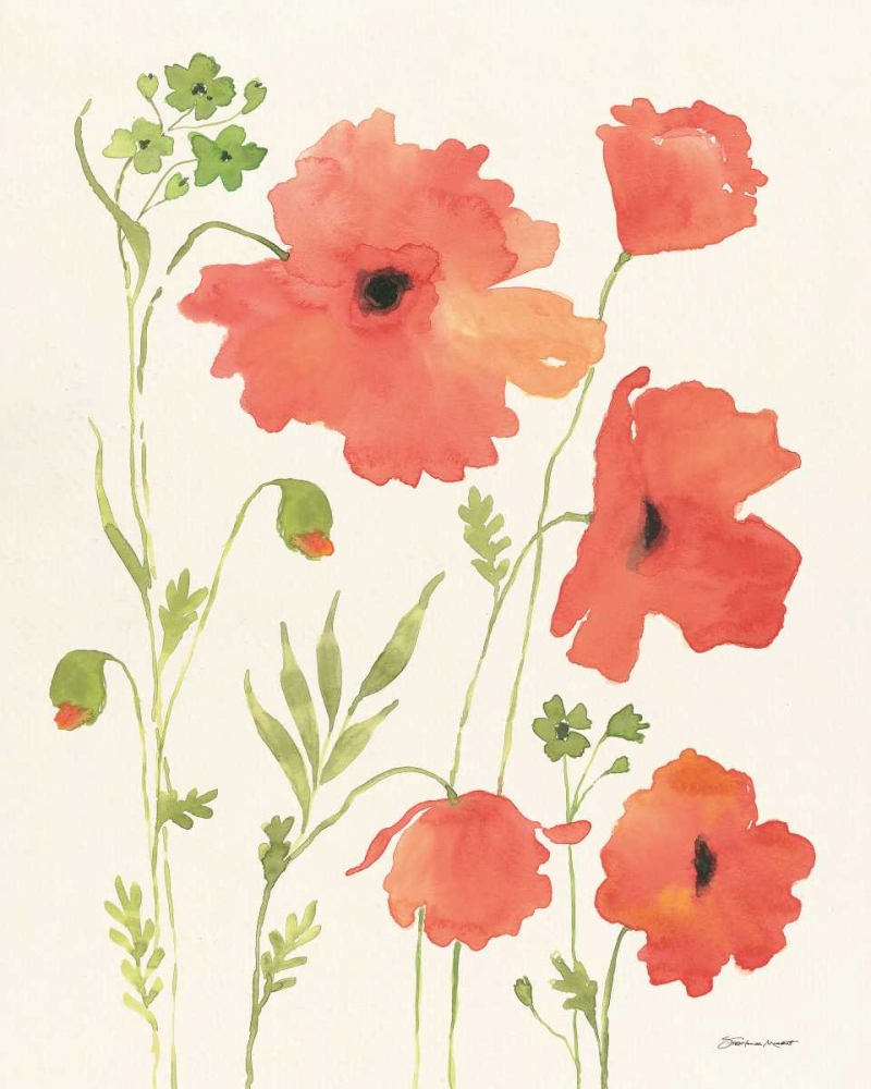 Wall Art Painting id:70322, Name: Poppy Garden, Artist: Marrott, Stephanie
