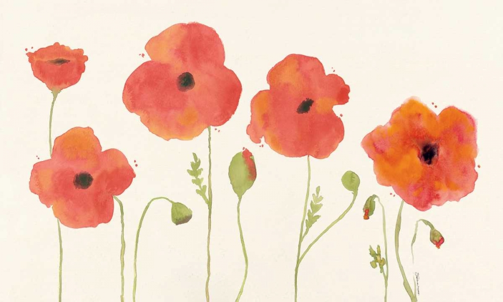 Wall Art Painting id:70323, Name: Poppies, Artist: Marrott, Stephanie