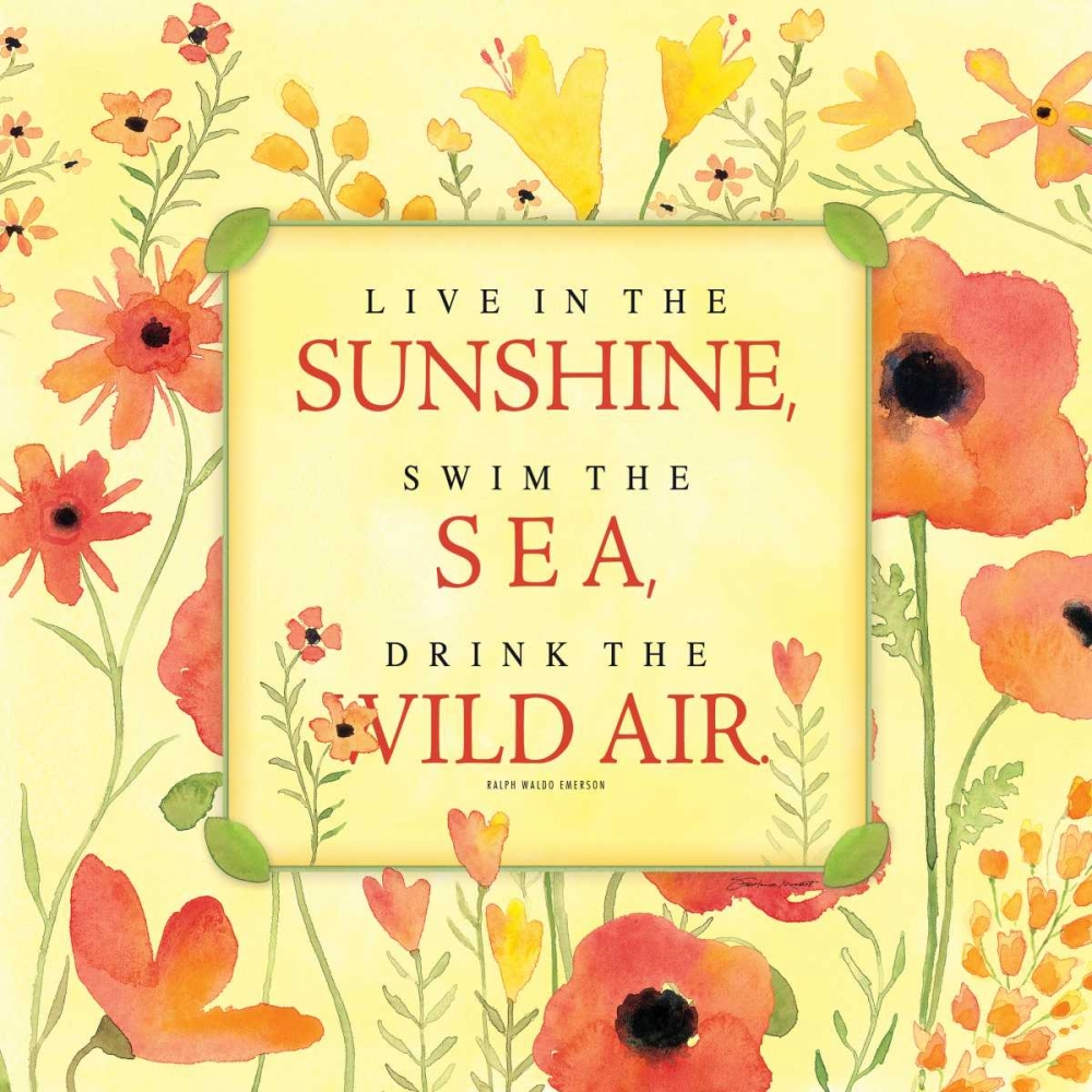 Wall Art Painting id:70346, Name: Wild Air I, Artist: Marrott, Stephanie