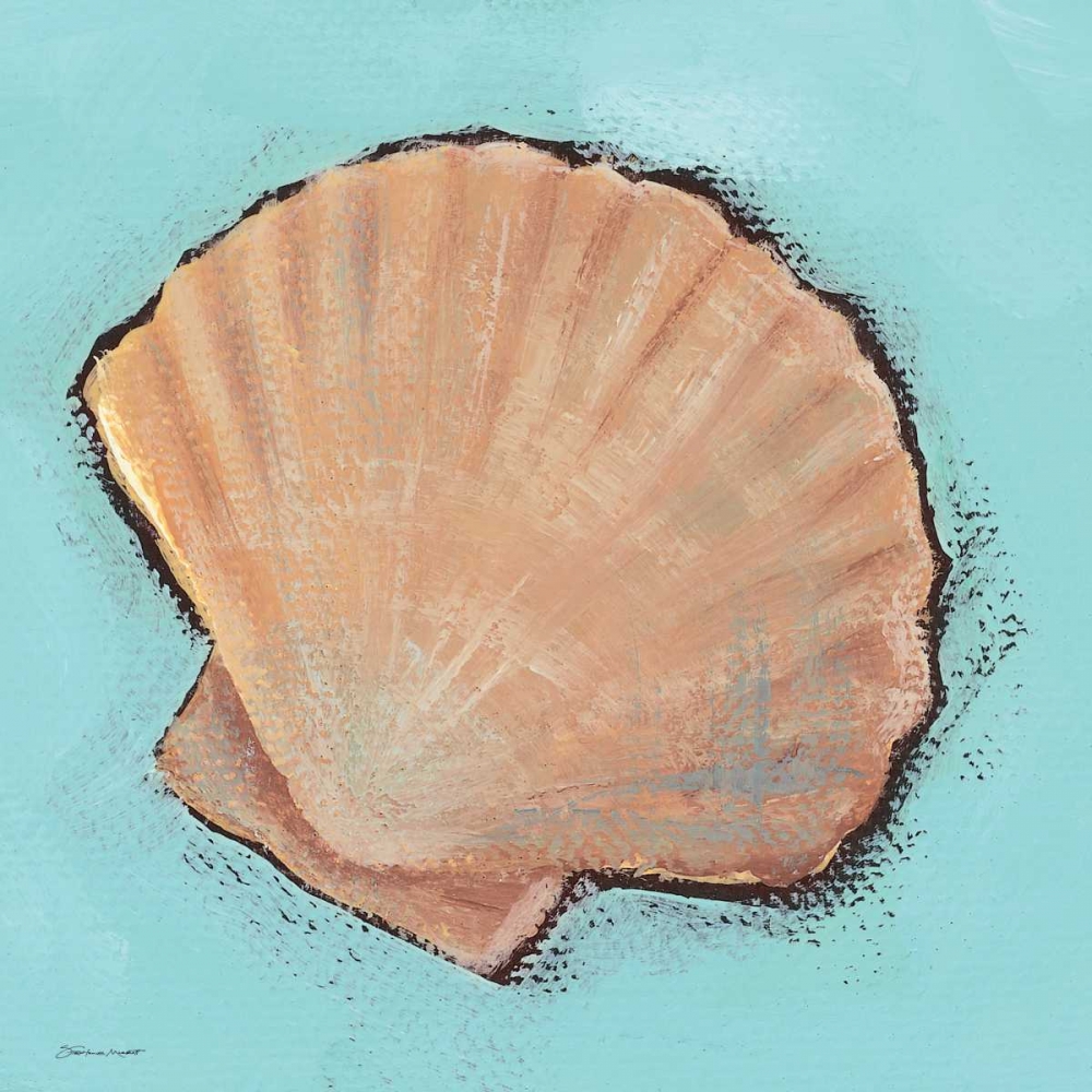 Wall Art Painting id:70369, Name: Fanshell, Artist: Marrott, Stephanie