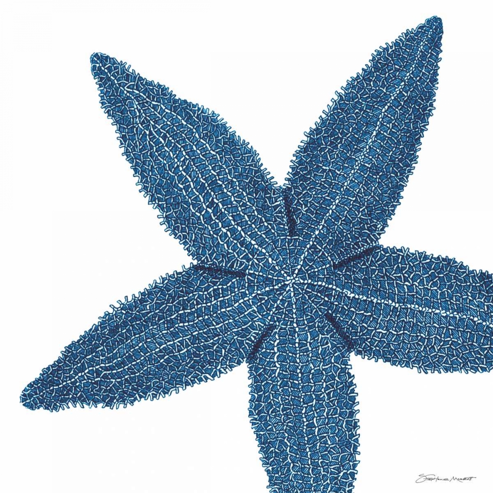 Wall Art Painting id:70379, Name: Blue Starfish, Artist: Marrott, Stephanie