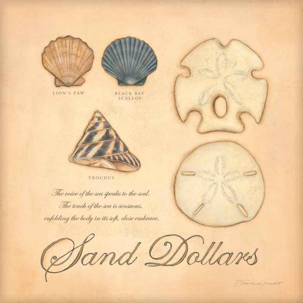Wall Art Painting id:71312, Name: Sand Dollars, Artist: Marrott, Stephanie