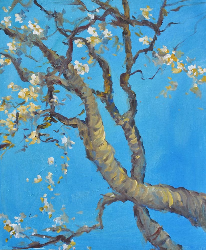 Wall art: Cherry Blossom -1, by Stevens, Allayn