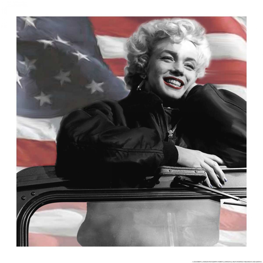 Wall Art Painting id:172481, Name: My Favorite In Flag, Artist: Eversen, Robert