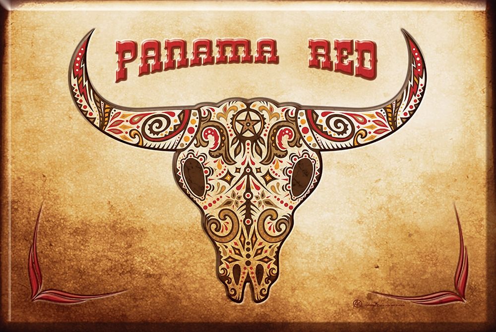 Wall Art Painting id:255914, Name: Panama Red, Artist: Has