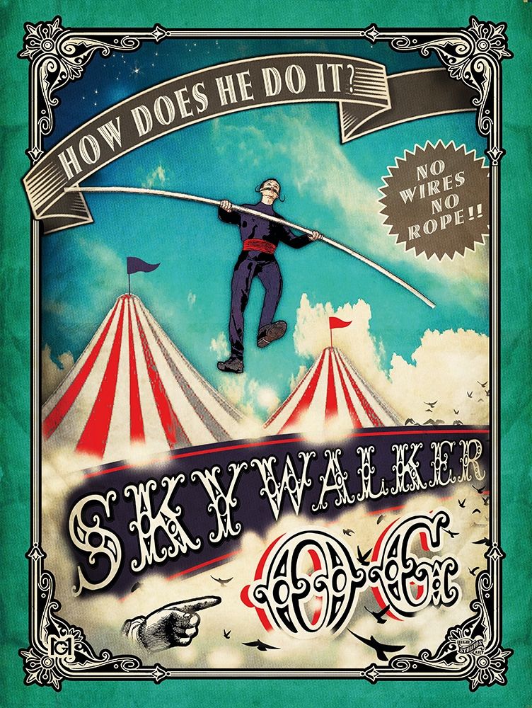 Wall Art Painting id:255917, Name: Skywalker, Artist: Has