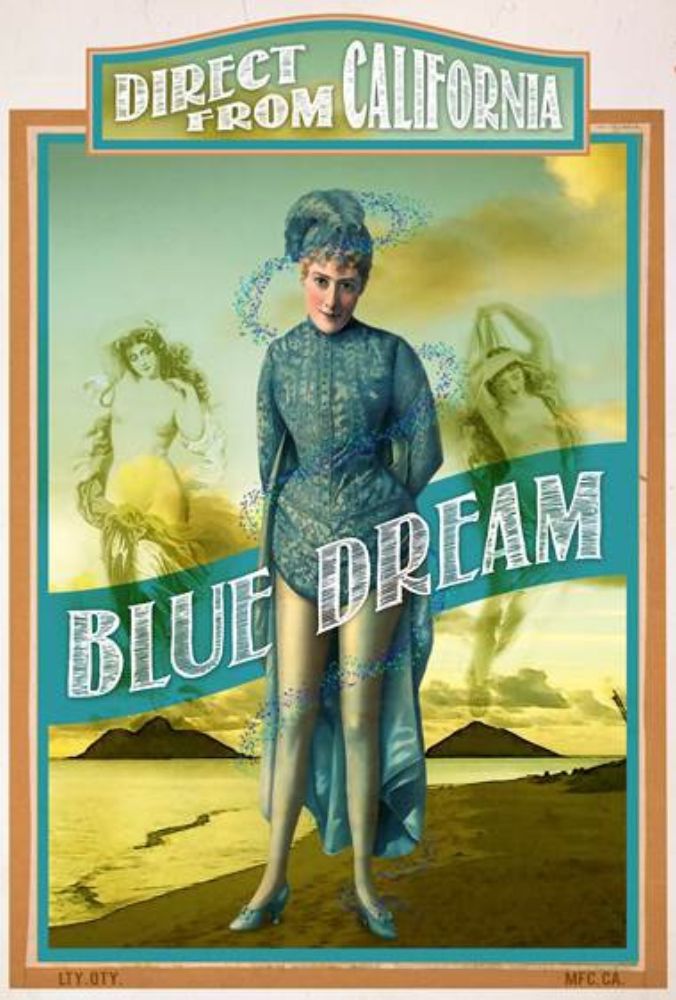 Wall Art Painting id:255922, Name: Blue Dream , Artist: Has