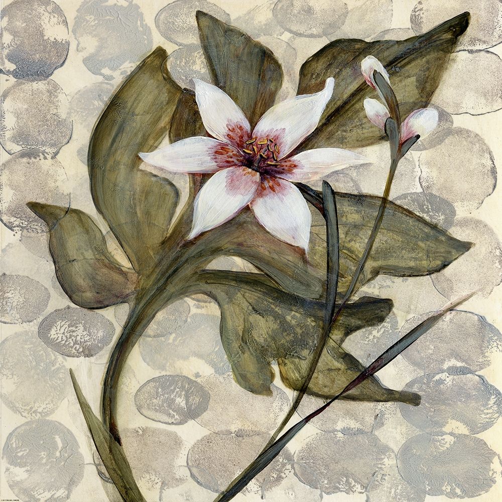 Art Print: Amazonia 4