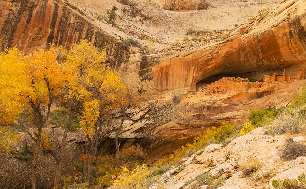 Art Print: Anastzi Homeland