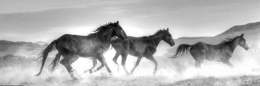 Wall art: Rolling By, by Linden, Sally