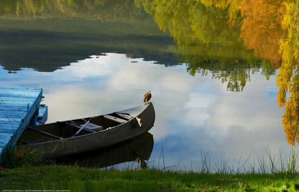 Art Print: Lake Reflection