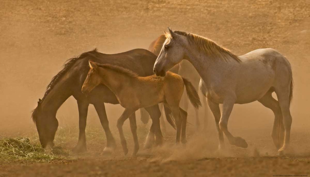 Similar wall art painting: 172591