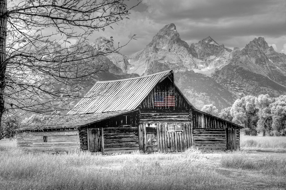 Art Print: Sign of the Feather w Flag