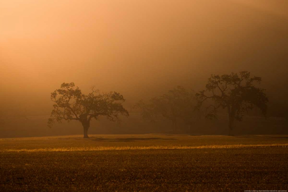 Art Print: Sun Rising