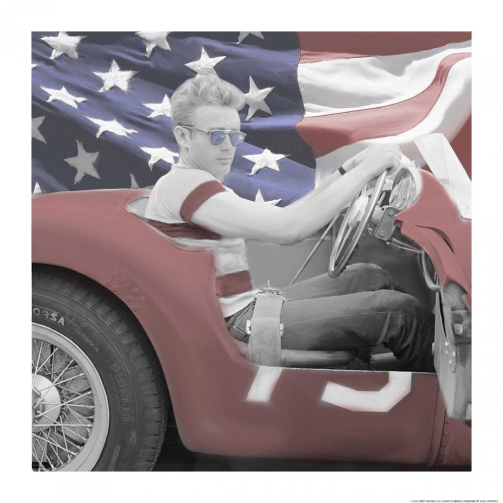 Wall Art Painting id:172642, Name: James Dean Flag Blue Sunglasses W Border, Artist: Michaels, Jerry