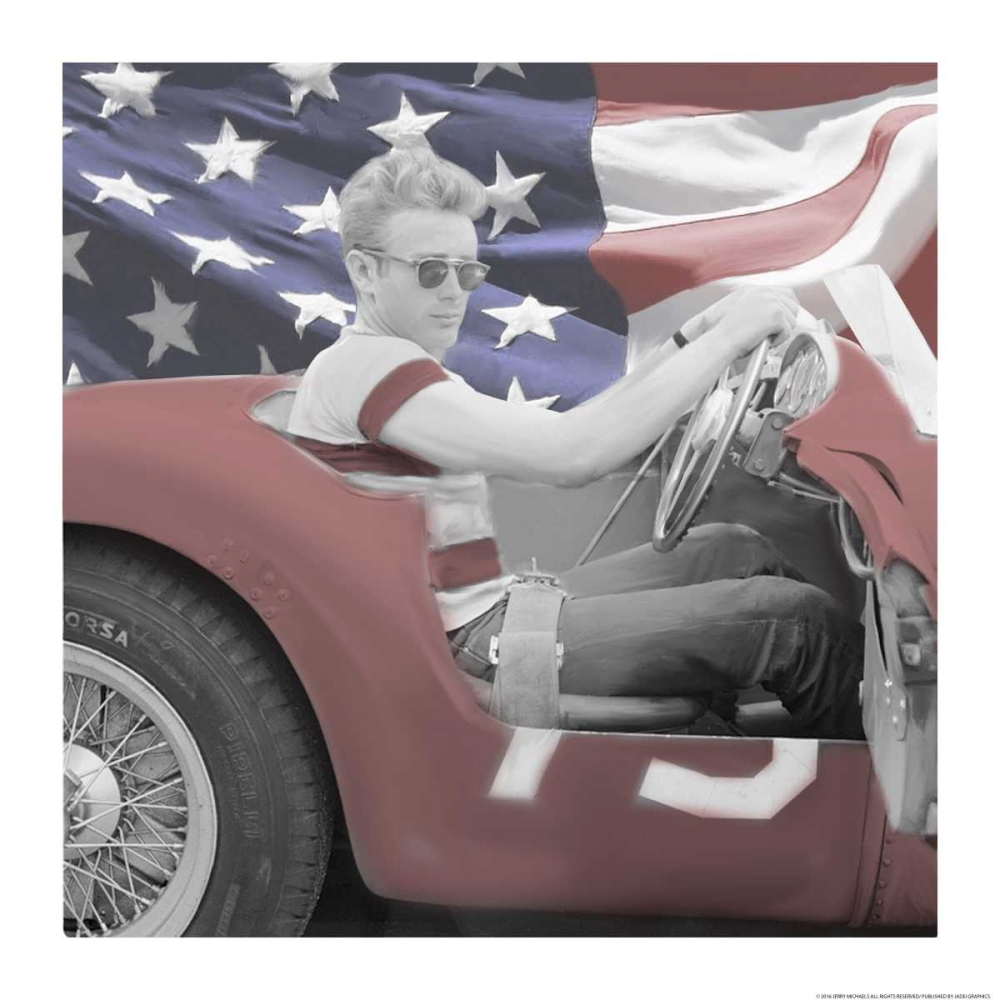 Wall Art Painting id:172641, Name: James Dean Flag W Border, Artist: Michaels, Jerry
