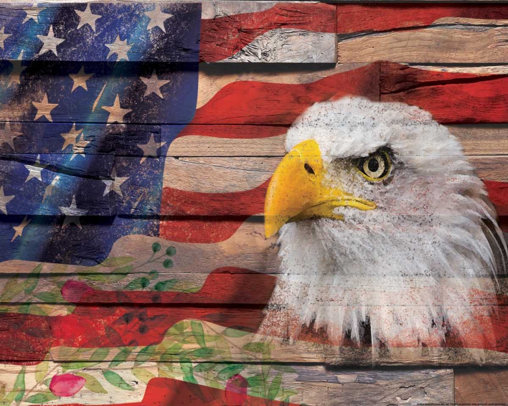 Wall Art Painting id:172664, Name: Flag 4, Artist: Nobleworks, Inc.