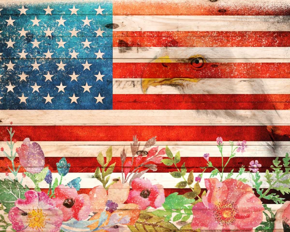 Wall Art Painting id:172666, Name: Flag 6, Artist: Nobleworks, Inc.