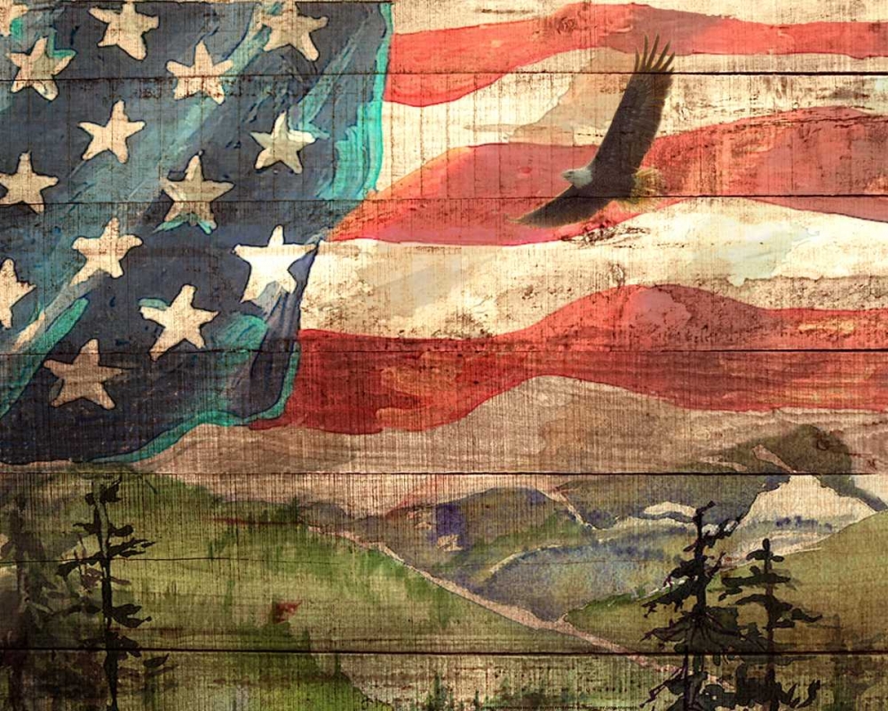 Wall Art Painting id:172667, Name: Flag 7, Artist: Nobleworks, Inc.