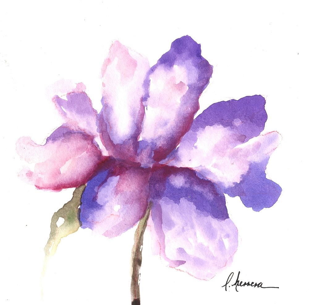Art Print: Flor Morada