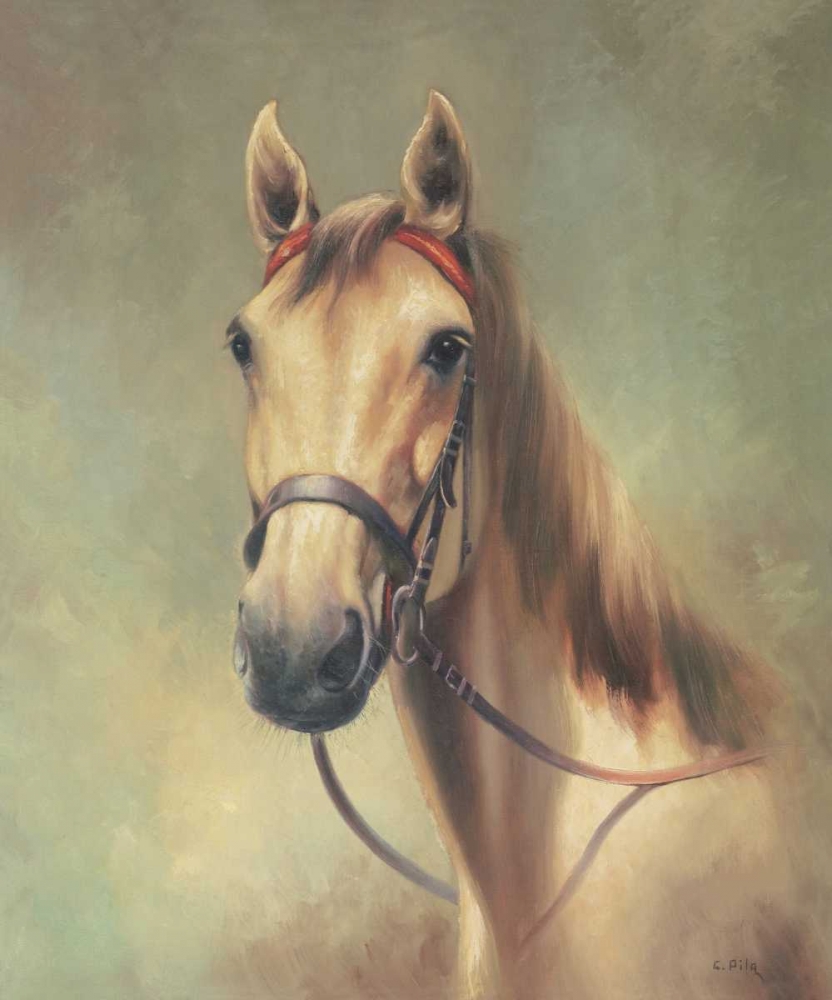 Wall art: I am the King, by Pila