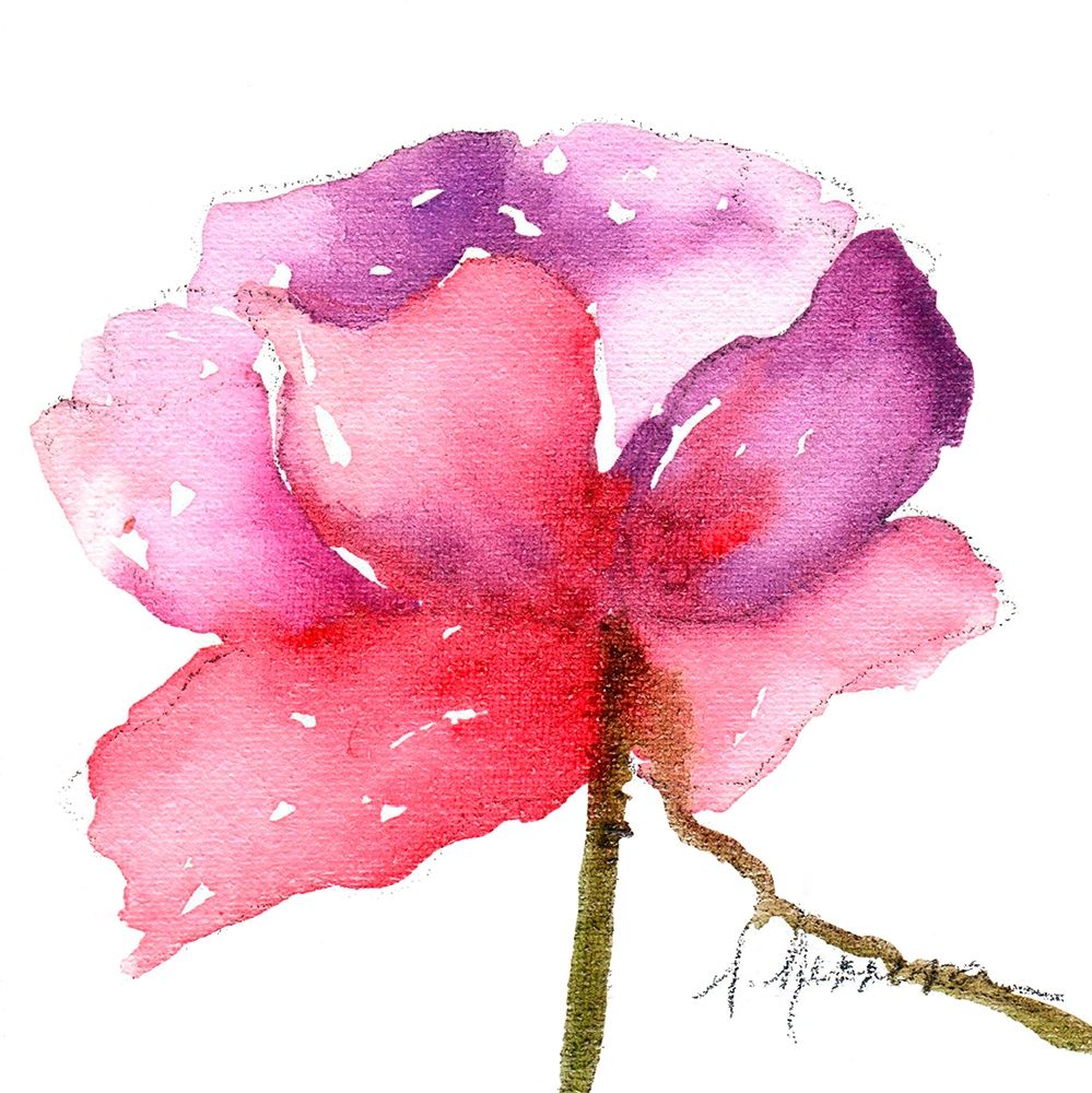 Art Print: WATERCOLOR POPPY III