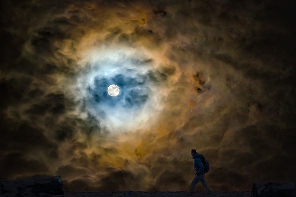 Similar wall art painting: 248179