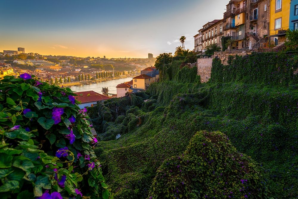 Art Print: PORTO GARDENS