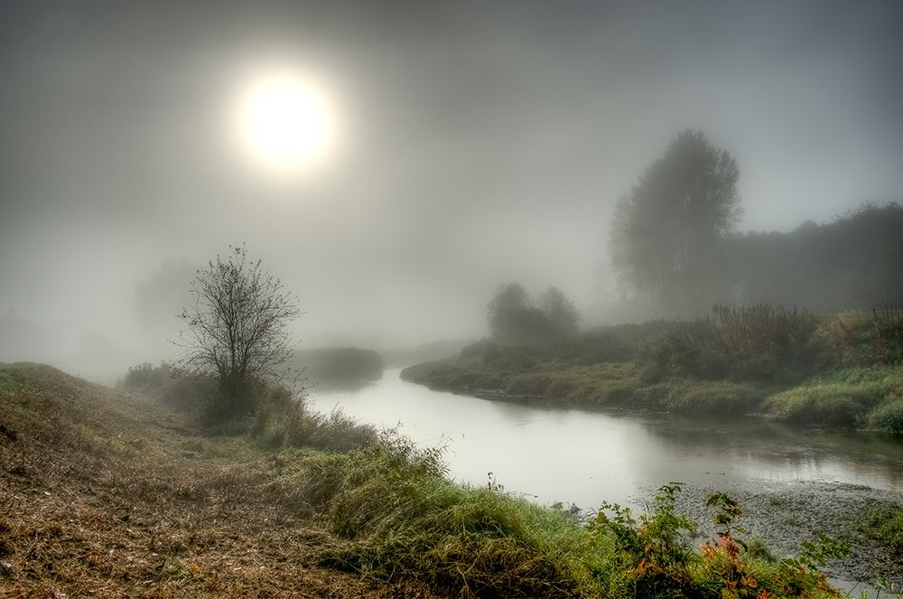 Art Print: MISTY CREEK