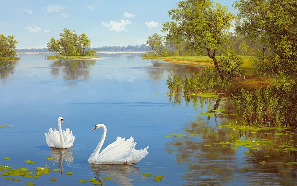 Art Print: SWANS ON THE LAKE