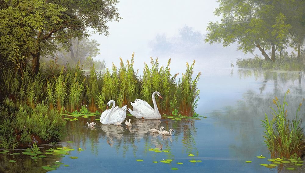 Art Print: SWANS AT THE POND II