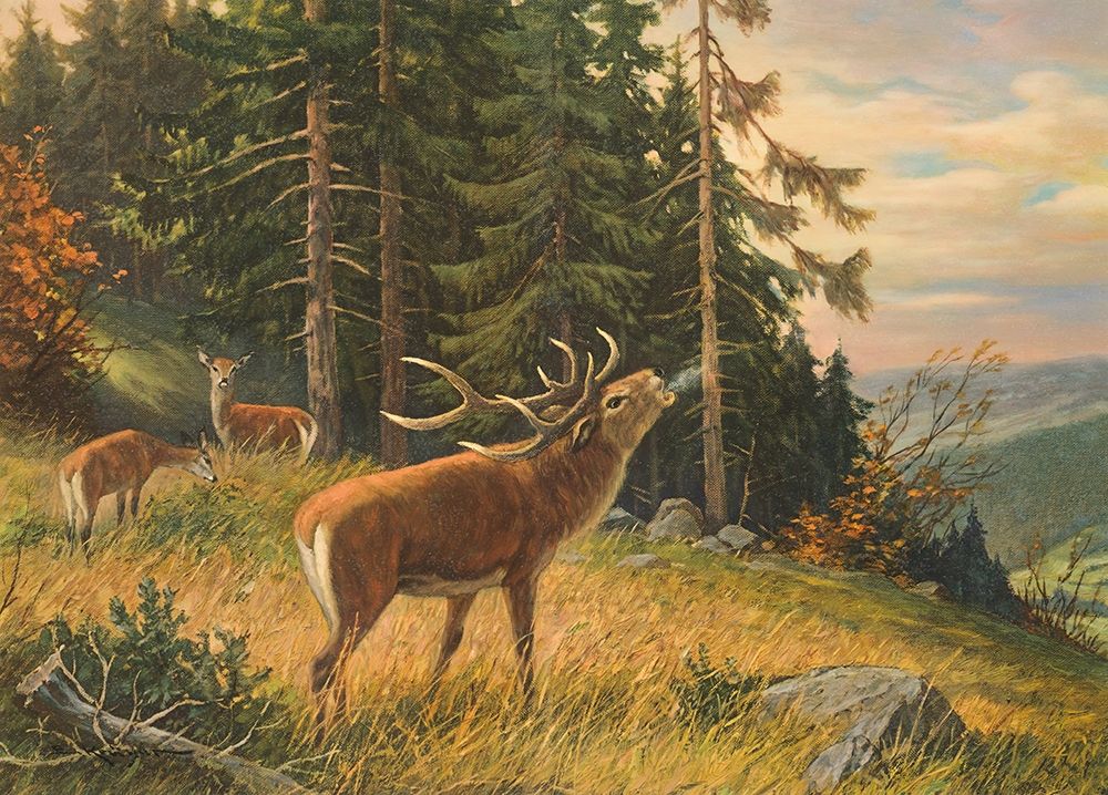 Wall Art Painting id:248187, Name: RUTTING SEASON OF STAGS, Artist: Krueger, E.