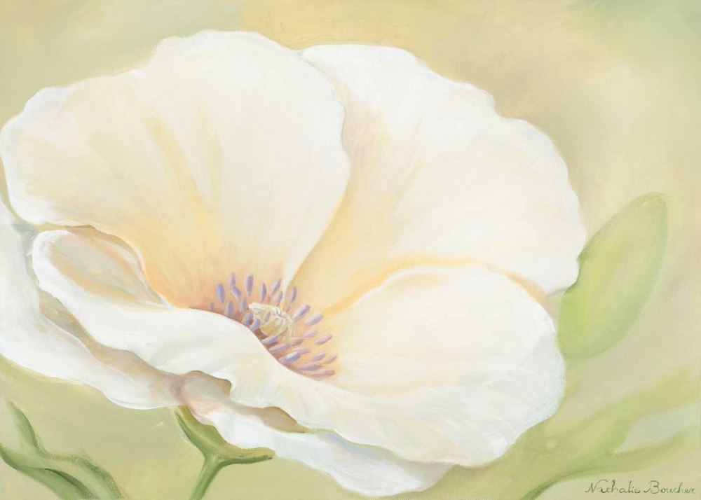 Wall Art Painting id:85281, Name: White flower II, Artist: Boucher, Nathalie