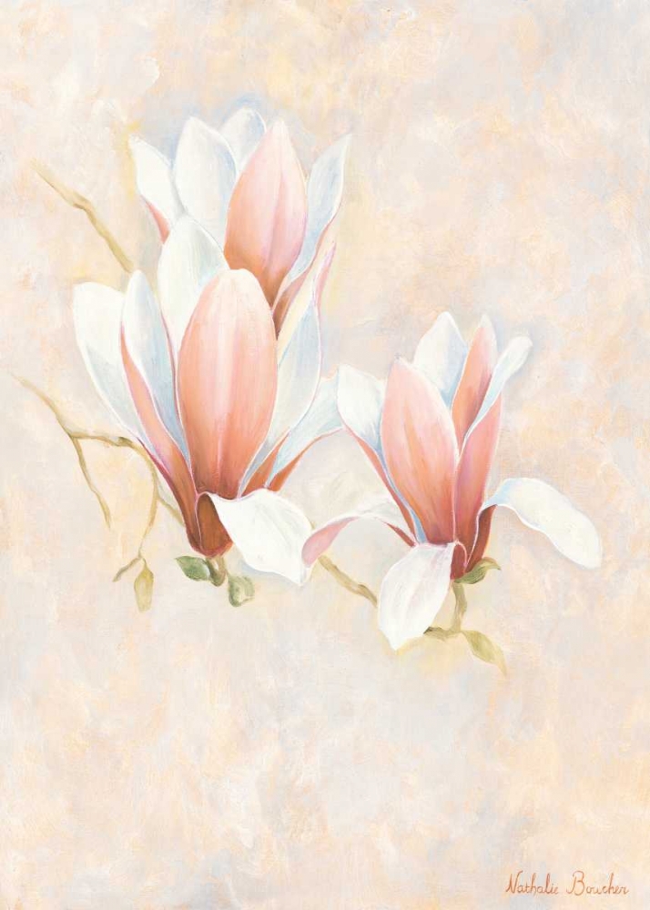 Wall Art Painting id:85295, Name: Magnolia 2-3, Artist: Boucher, Nathalie