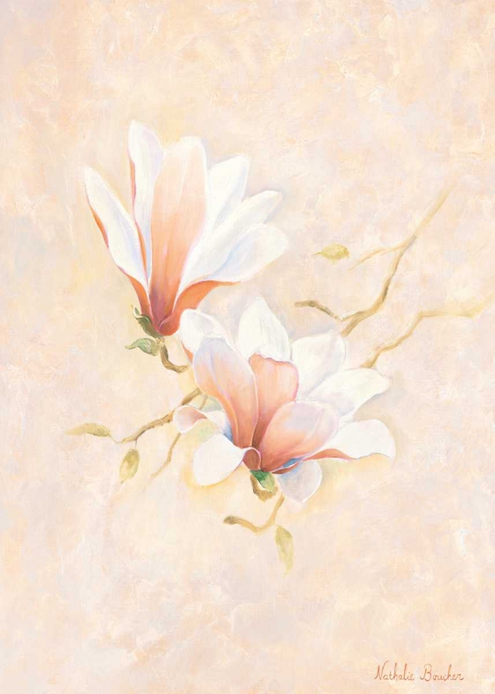 Wall Art Painting id:85298, Name: Pink magnolia 2-3, Artist: Boucher, Nathalie