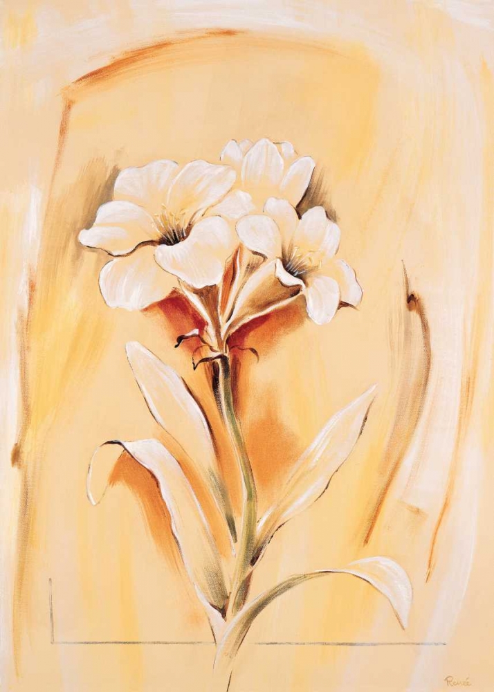 Wall Art Painting id:85304, Name: Morning glory, Artist: Renee