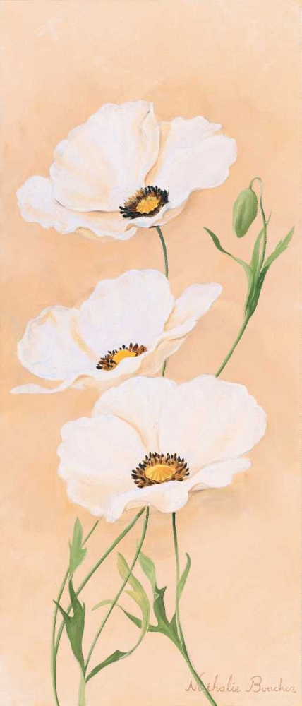 Wall Art Painting id:85511, Name: White poppy III, Artist: Boucher, Nathalie