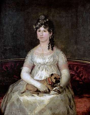 Wall Art Painting id:184771, Name: Portrait of Dona Francisca Vicenta Chollet Y Caballero, Artist: Goya, Francisco De