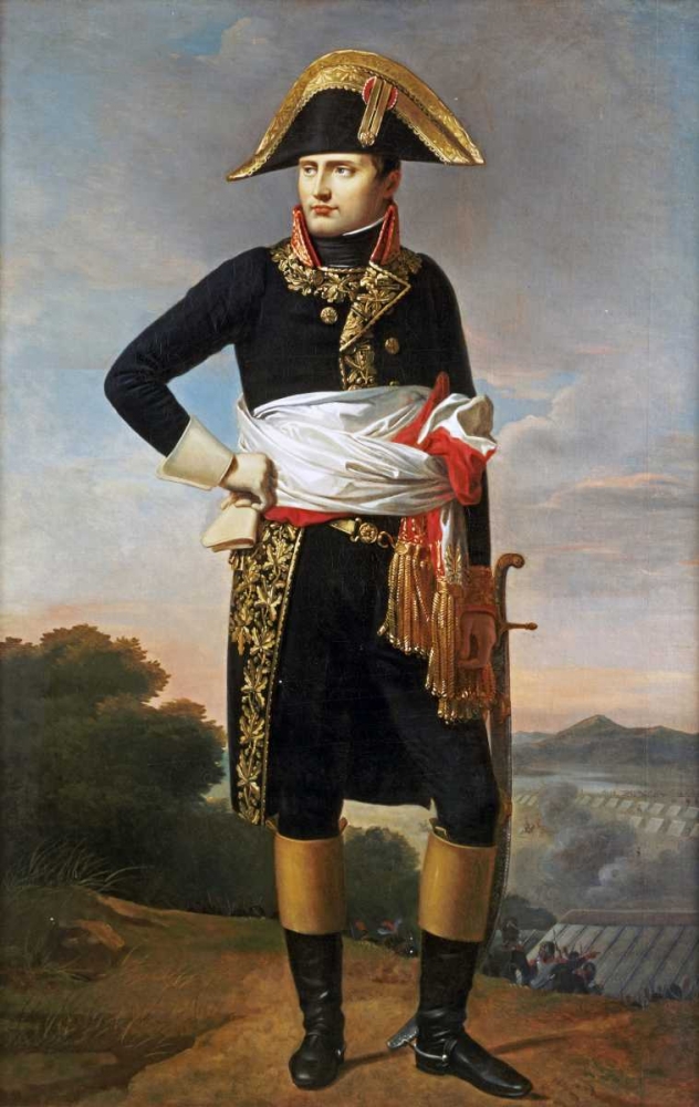 Wall Art Painting id:88889, Name: Portrait of Napoleon, Artist: French School
