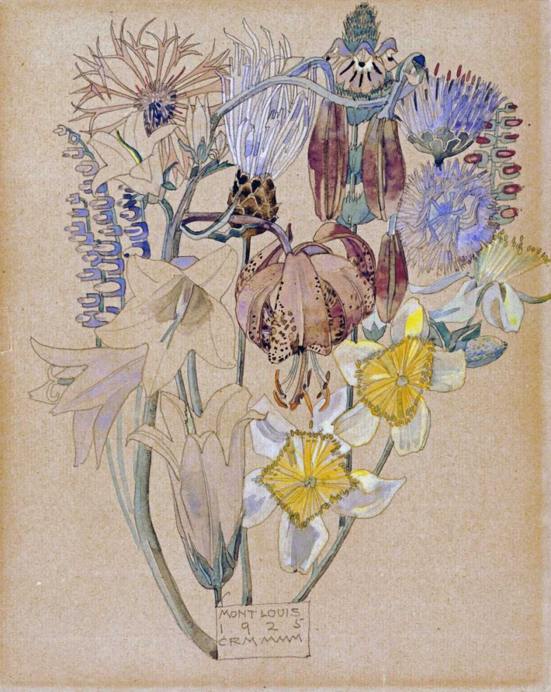 Wall Art Painting id:88989, Name: Mont Louis - Flower Study, Artist: Mackintosh, Charles Rennie