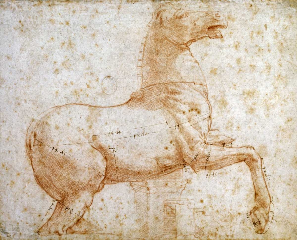 Art Print: Study of One of The Quirinal Marble Horses