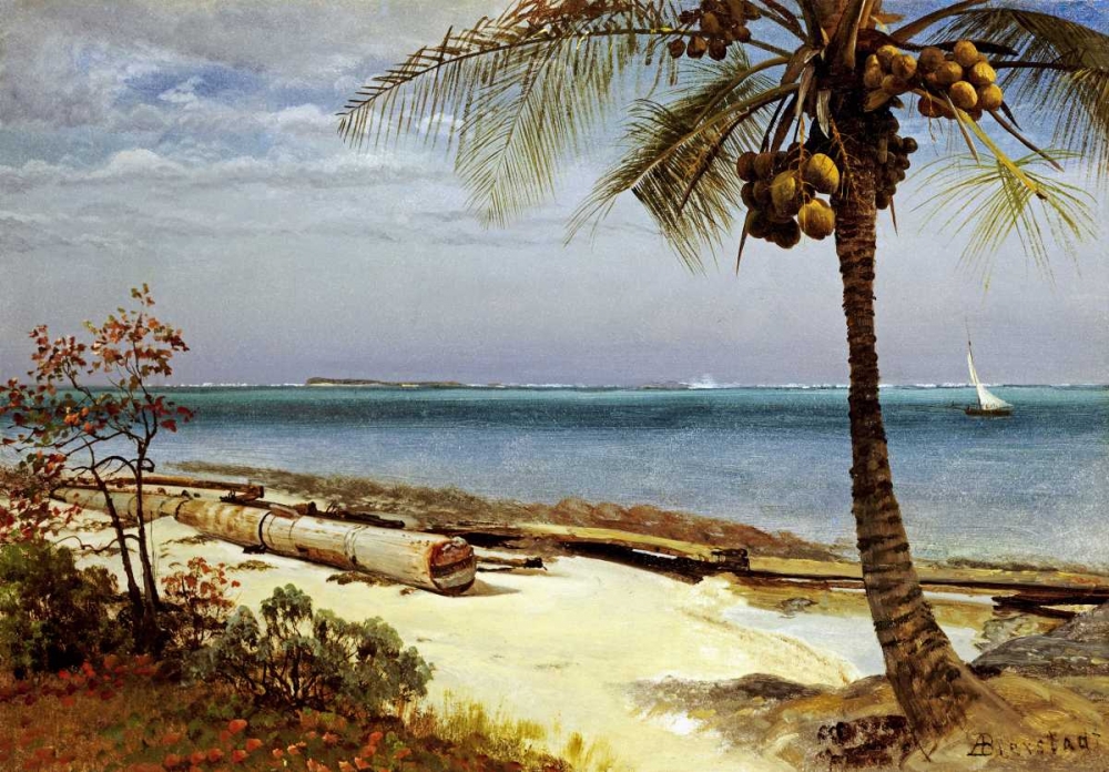 Wall Art Painting id:90197, Name: Tropical Coast, Artist: Bierstadt, Albert