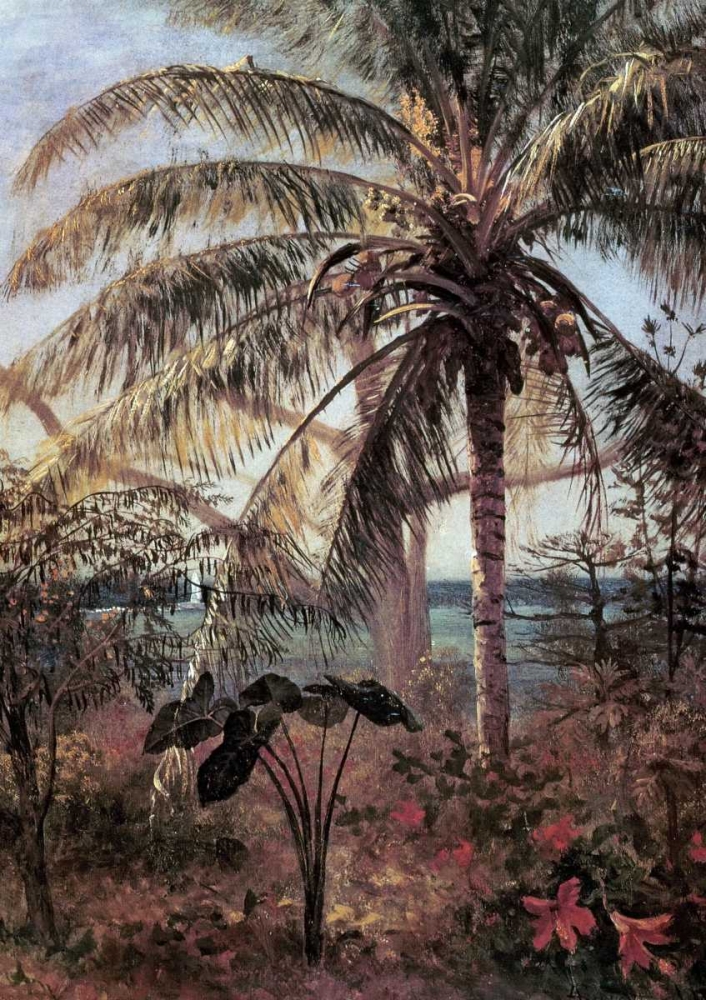 Wall Art Painting id:90207, Name: Palm Tree, Nassau, Artist: Bierstadt, Albert